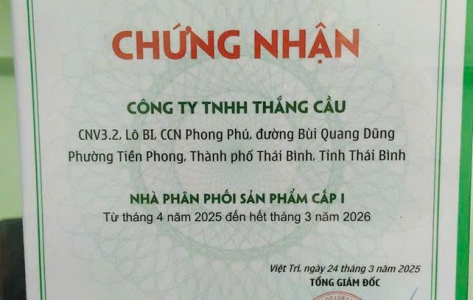 胜桥有限公司简介